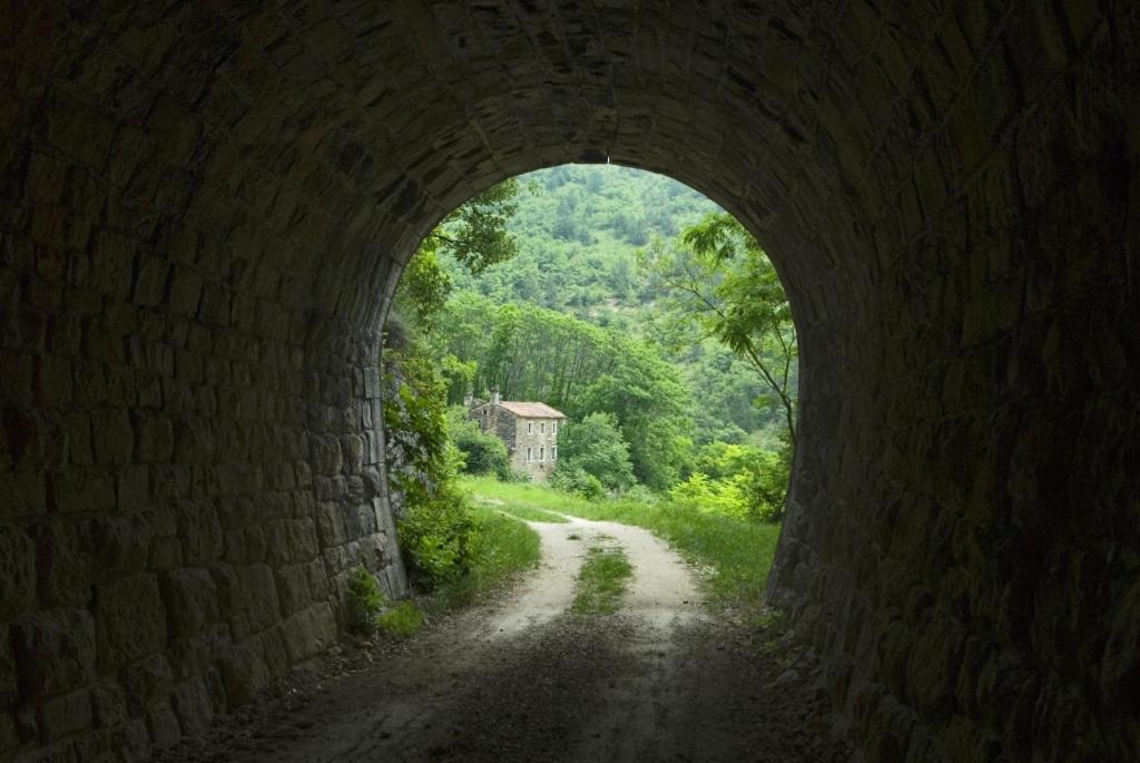 Villa Franka 113 Bašanija Dış mekan fotoğraf